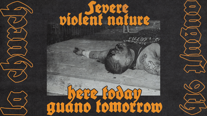 SVN Wrestling: Here Today, Guano Tomorrow